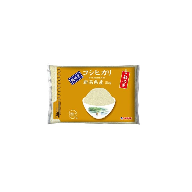 【即日発送】580.com 新潟県産 無洗米 コシヒカリ 5kg