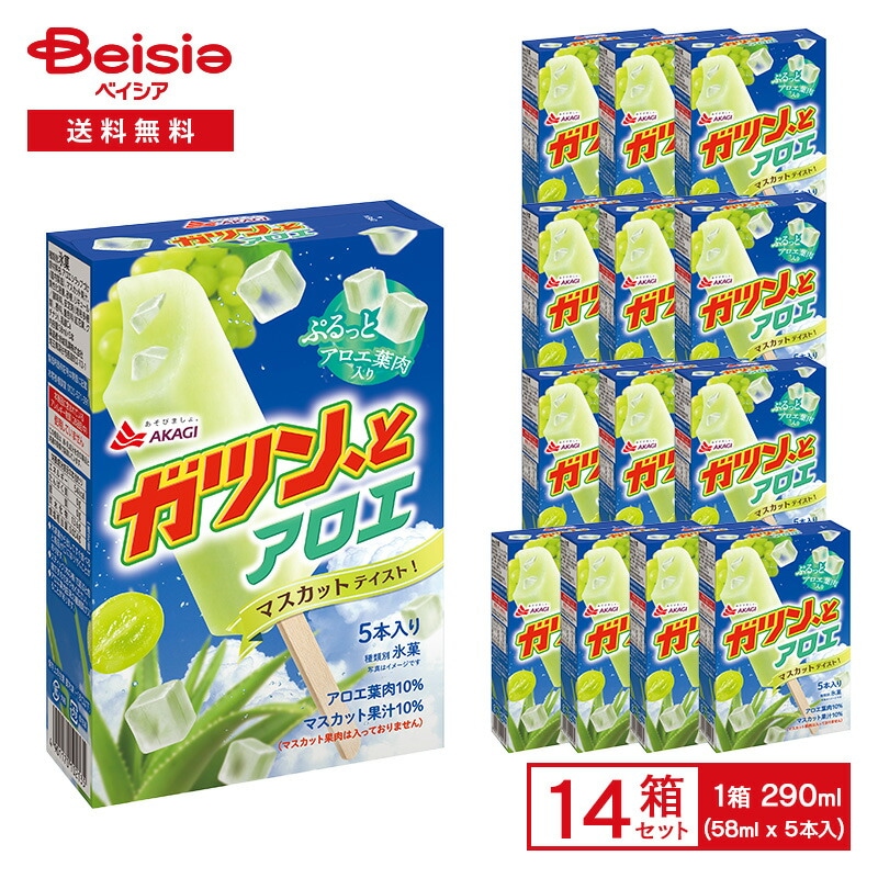 赤城乳業 ガツンとアロエマスカット マルチ 290ml（58ml×5本入）×14箱 氷菓 アイス ガツンとアロエ アロエ果肉入り マスカット風味 箱 まとめ買い ケース 業務用