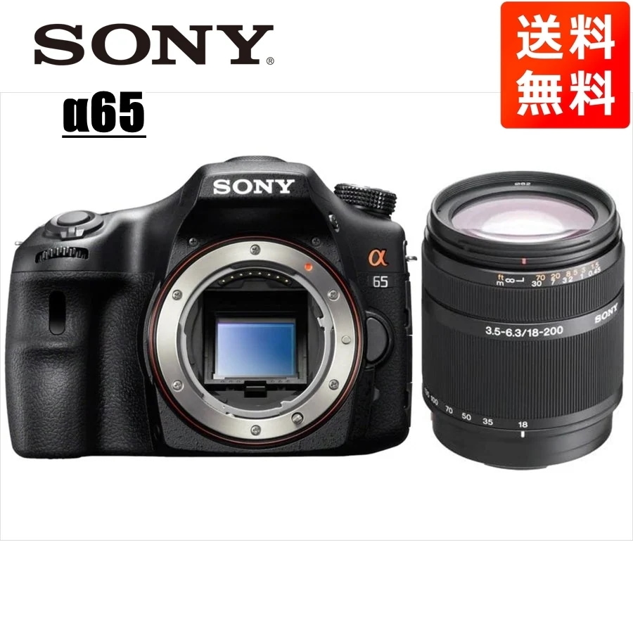 α65 DT 18-200mm 高倍率 レンズセット デジタル一眼レフ カメラ 中古
