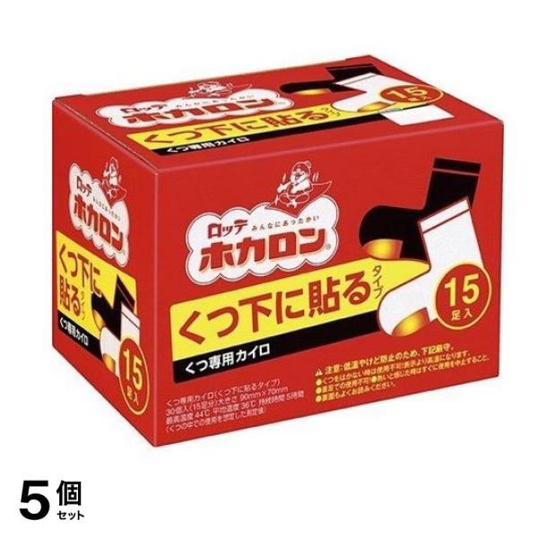 ホカロン くつ下に貼るタイプ 白 30個入 (15足分) 5個セット