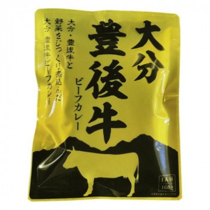 南光物産 大分豊後牛ビーフカレー 160g×30個 7,495円