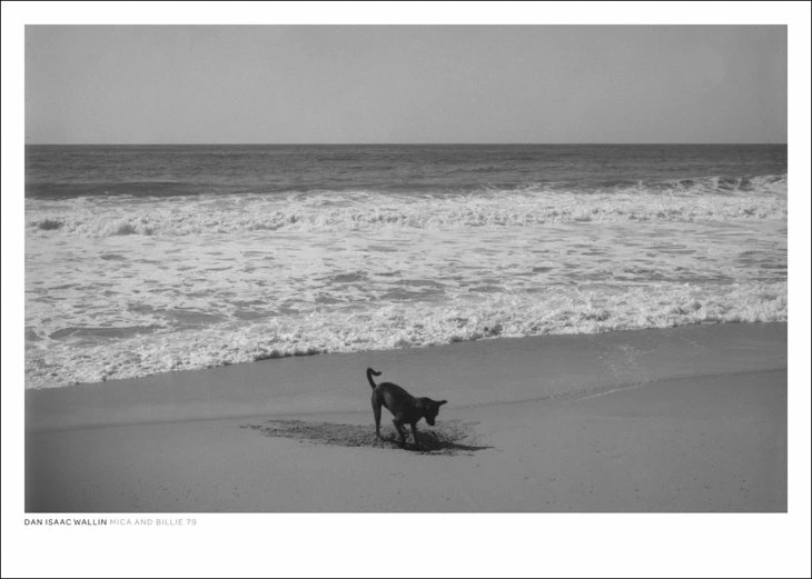DAN ISAAC WALLIN MICA AND BILLIE 79