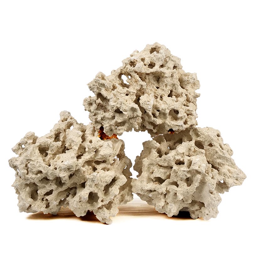 マルコロック　リーフセーバー　エッジ（Ｅｄｇｅ）　Ｍサイズ　４ー５ｋｇ　サンゴ　石　海水　水槽　飾り　レイアウト　ＣＲＣ21―20―90―00―00