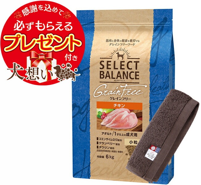セレクトバランス グレインフリー アダルトチキン 小粒 6kg【犬想いオリジナル今治ハンドタオルセット】【タオルカラー モカ】【正規品】