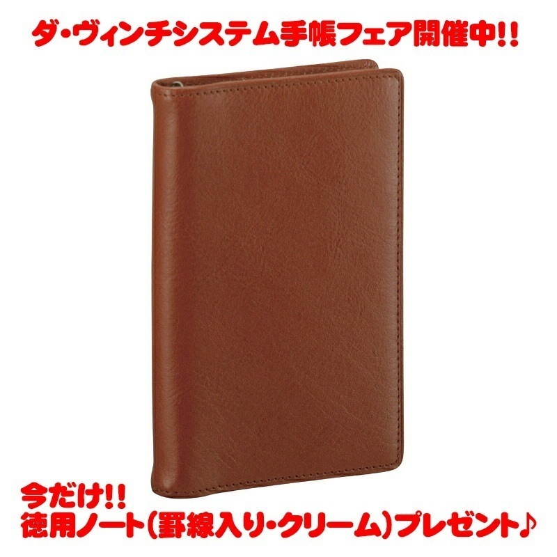 【ラッピング無料】【名入れ可(有償)】 レイメイ藤井(Raymay) ダヴィンチシステム手帳 ジャストリフィルサイズポケット ブラウン JDP3009C ビジネススタンダード スーパーロイスレザー