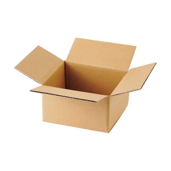 TANOSEE 無地ダンボール箱 A5判対応サイズ 高さ130mm 1セット（60枚：20枚3パック）