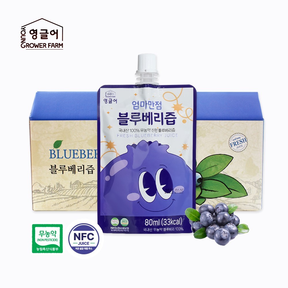 国内産無添加100％ブルーベリージュース80ml NFC着汁工法2.4L1個 6,722円