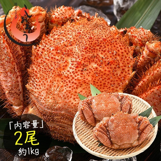 毛蟹 毛がに 毛ガニ 500g前後2尾 北海道産