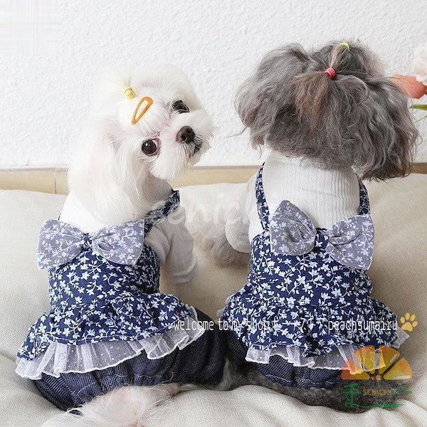 Qoo10] 犬服 ペット服 ペット用品 春秋冬 ワン