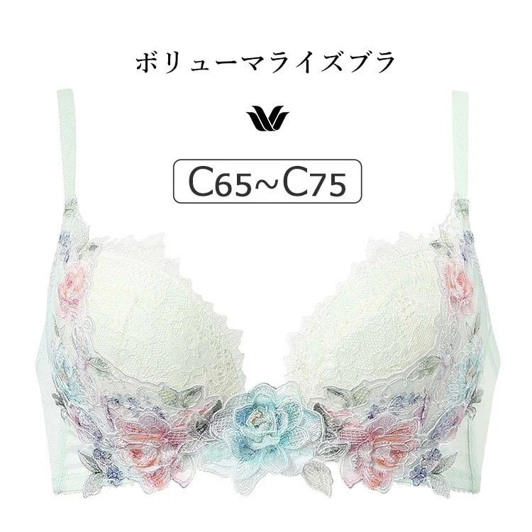 ワコール プレミアム 22G BXD422シリーズ ボリューマライズブラ ブラジャー単品 Cカップ アンダー65/70/75cm BXD722