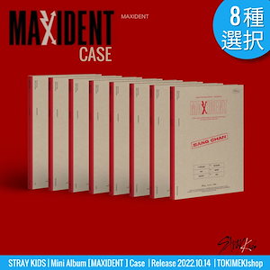 straykids アルバム maxident case