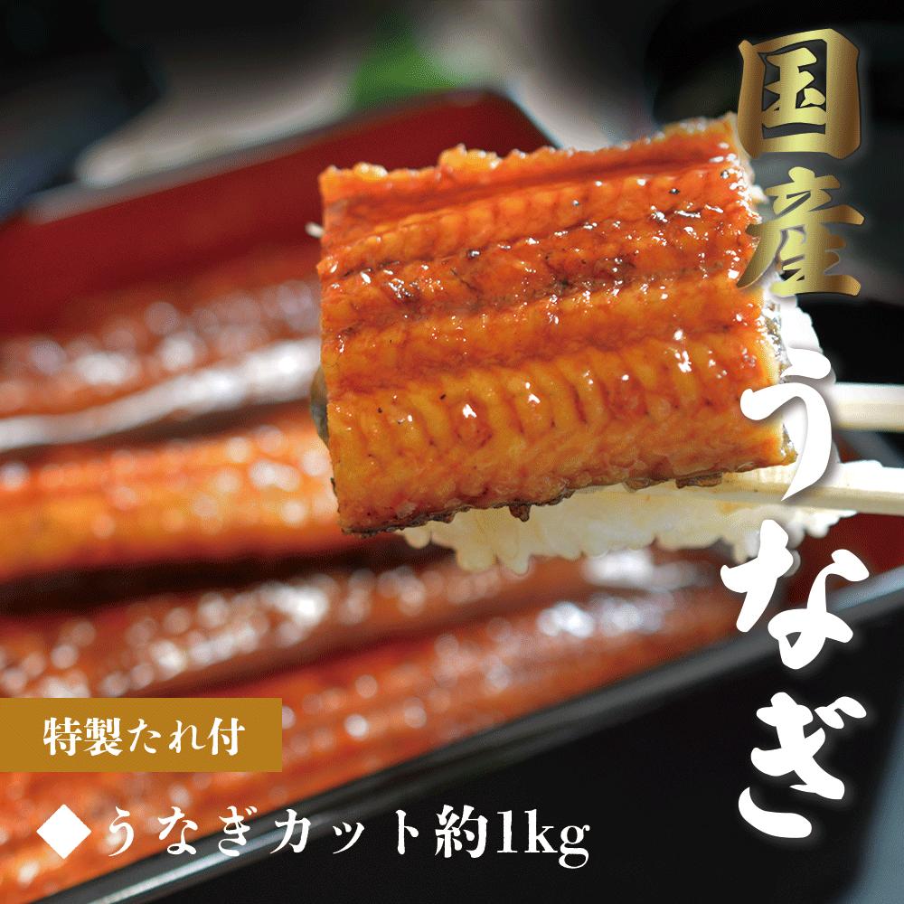 うなぎ蒲焼き (半身 約1kg) 愛知県三河一色産 専門店仕入れ タレ付 備長炭 ギフト お中元 母の日 父の日 丑の日 鰻