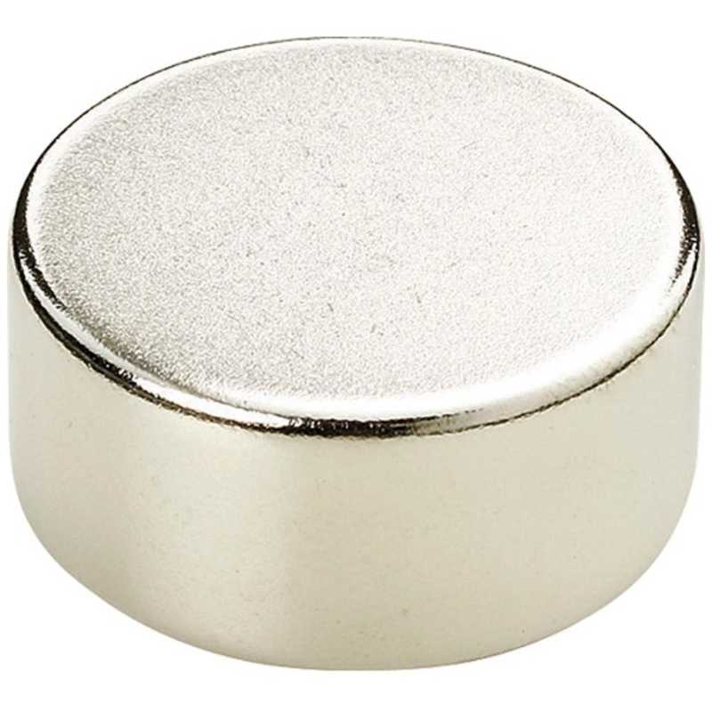 トラスコ中山　TRUSCO ネオジム磁石 丸形 外径40mmX厚み10mm 1個入　TN40-10R-1P