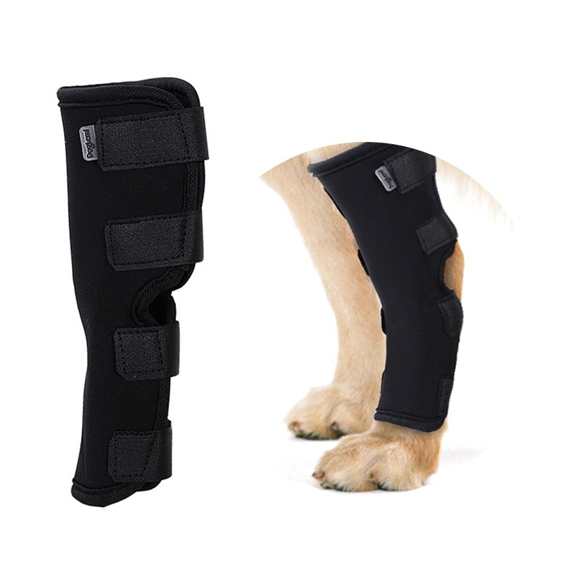 Qoo10] ペット用サポーター 膝蓋骨 脱臼 犬 弾
