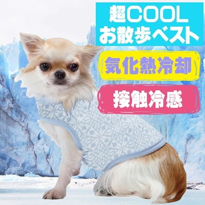 Qoo10] マルカン 犬服 マルカン 超COOL お散歩ベスト