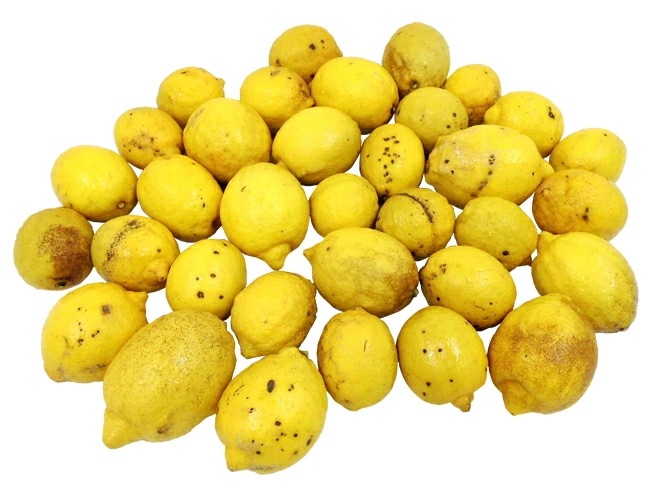 =完熟国産レモン= 訳あり 約5kg 大きさおまかせ 産地厳選 予約 入荷次第発送