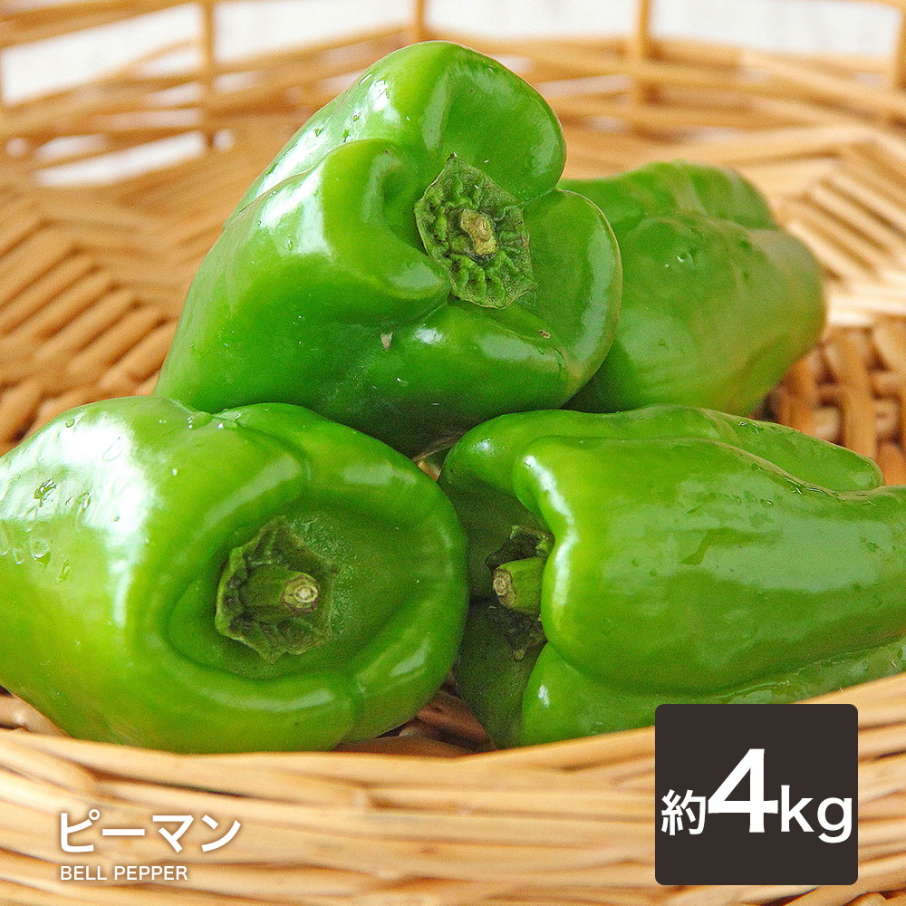 【4kg】ピーマン 送料無料 定番 万能 野菜 緑黄色 ぴーまん ピーマン肉詰め 青椒肉絲 酢豚 中華 味噌炒め おひたし