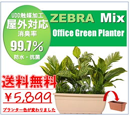 Qoo10 プランターのおすすめ商品リスト ランキング順 プランター買うならお得なネット通販