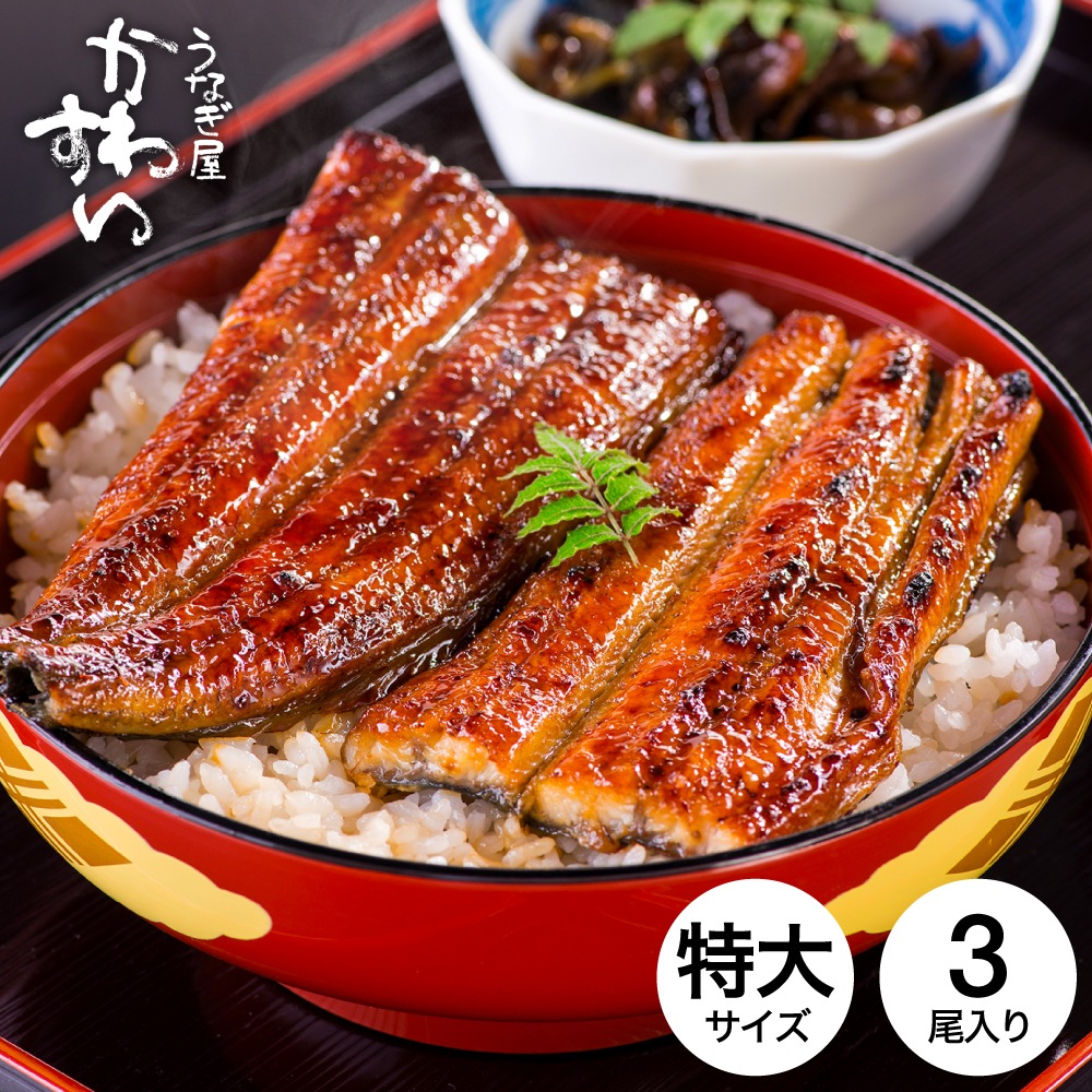 お中元 夏ギフト グルメ うなぎ 国産 うなぎ屋かわすい 国産うなぎ蒲焼長焼 特大 170g×3本セット メーカー直送 のし・包装紙・メッセージカード不可 冷凍便 送料無料