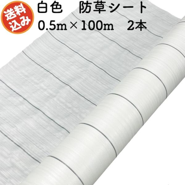 防草シート 白色（サンホワイト） 0.5m100m 2本 抗菌剤 UV剤入り 反射 除草シート 太陽光 野菜 畑 農業