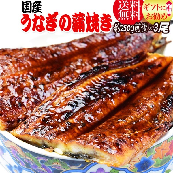 特々大3尾国産 うなぎ蒲焼き （1尾230g前後250g前後） 炭火焼うなぎ蒲焼 特大3尾入 宮崎県産鹿児島県産 鰻蒲焼のタレ付 北海道東北沖