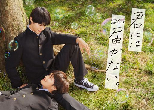 君には届かない BLU-RAY BOX [BLU-RAY] 11,116円