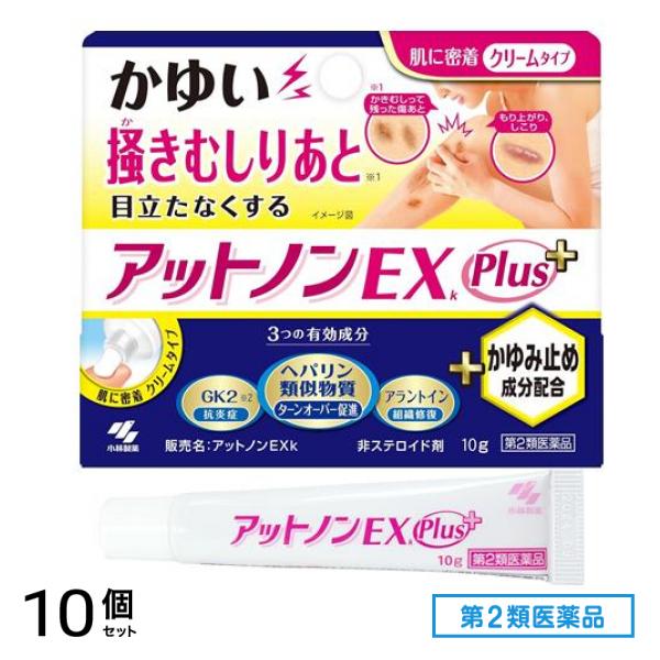 第２類医薬品 アットノンEXk かゆみ止めプラス 10g 10個セット