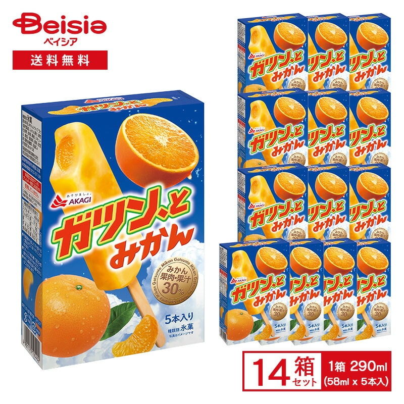 赤城乳業 ガツンとみかん マルチ 290ml（58ml×5本入）×14箱 氷菓 アイス ガツンとみかん ガツン 果汁 果肉入り アイスキャンディ 箱 まとめ買い ケース 業務用