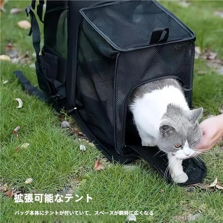 拡張式ペットキャリーバッグ リュック 猫犬うさぎ対応 折りたたみ 通気性 飛び出し防止リード付き 旅行・通院に便利
