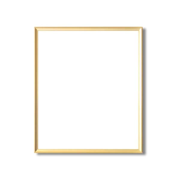 デッサン額縁 額 フレーム ( 三三サイズ 606×455mm ) ゴールド 壁掛けひも付き 化粧箱入り 5003