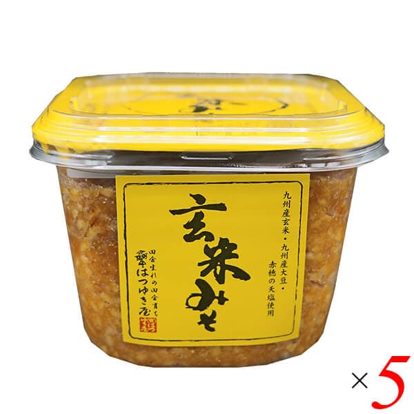 玄米みそ 500g 5個セット はつゆき屋 5,178円