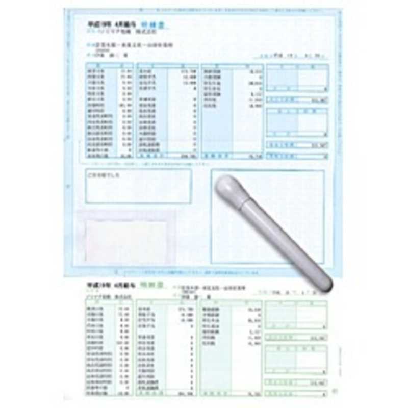 ソリマチ 給与賞与明細書 封筒型 ~スポンジタッチ付属~ (300枚) SR211