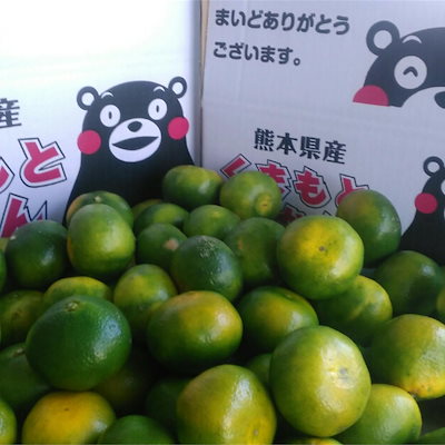 みかん　訳あり　箱込１０キロ（９kg＋保証分５０...のサムネイル