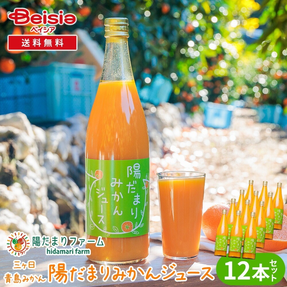 陽だまりファーム 三ヶ日青島みかんジュース ストレート100％ 720ml 12本セット