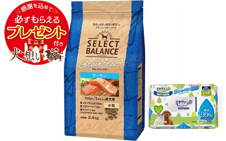 【プレゼント付】セレクトバランス グレインフリー アダルトサーモン 小粒 2.4kg【デオクリーン付】