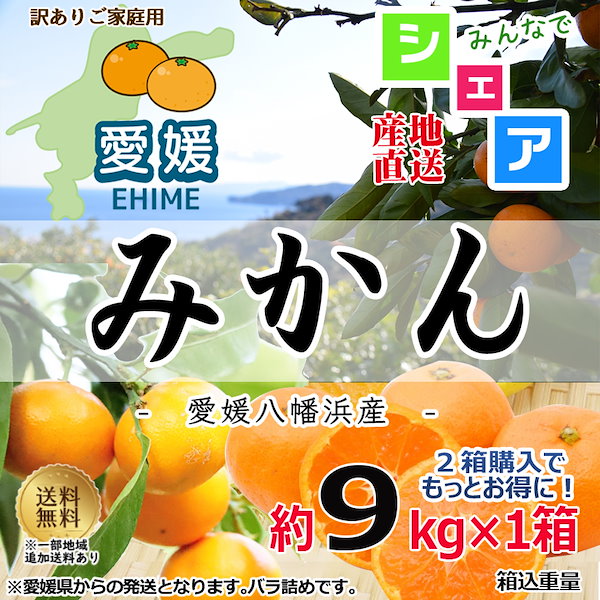 Qoo10] 愛媛県産 みかん 約9kg 訳あり 採り