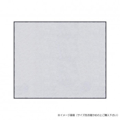 (クリーンテックス) スタンダードマットS ホワイト 90×120 cm