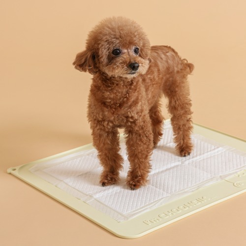 KAKAO FRIENDS 公式正規品 チュンシク ペット 犬 猫 シリコン 排便マット