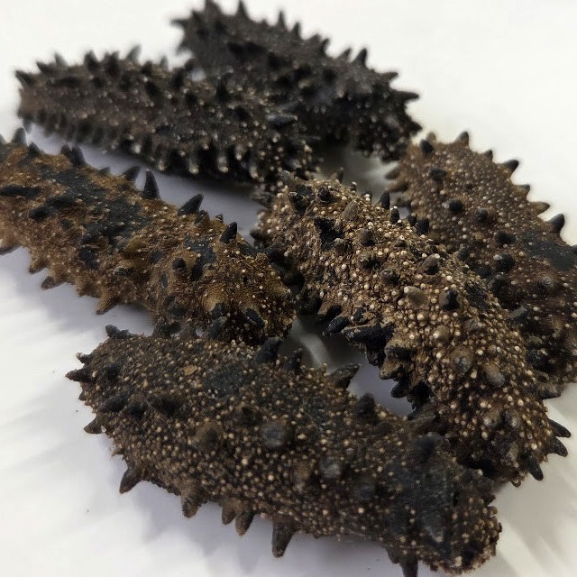 北海道産 天然乾燥ナマコ【AB級品】L-Mサイズ100g（約12-20個）実りある贅沢を！