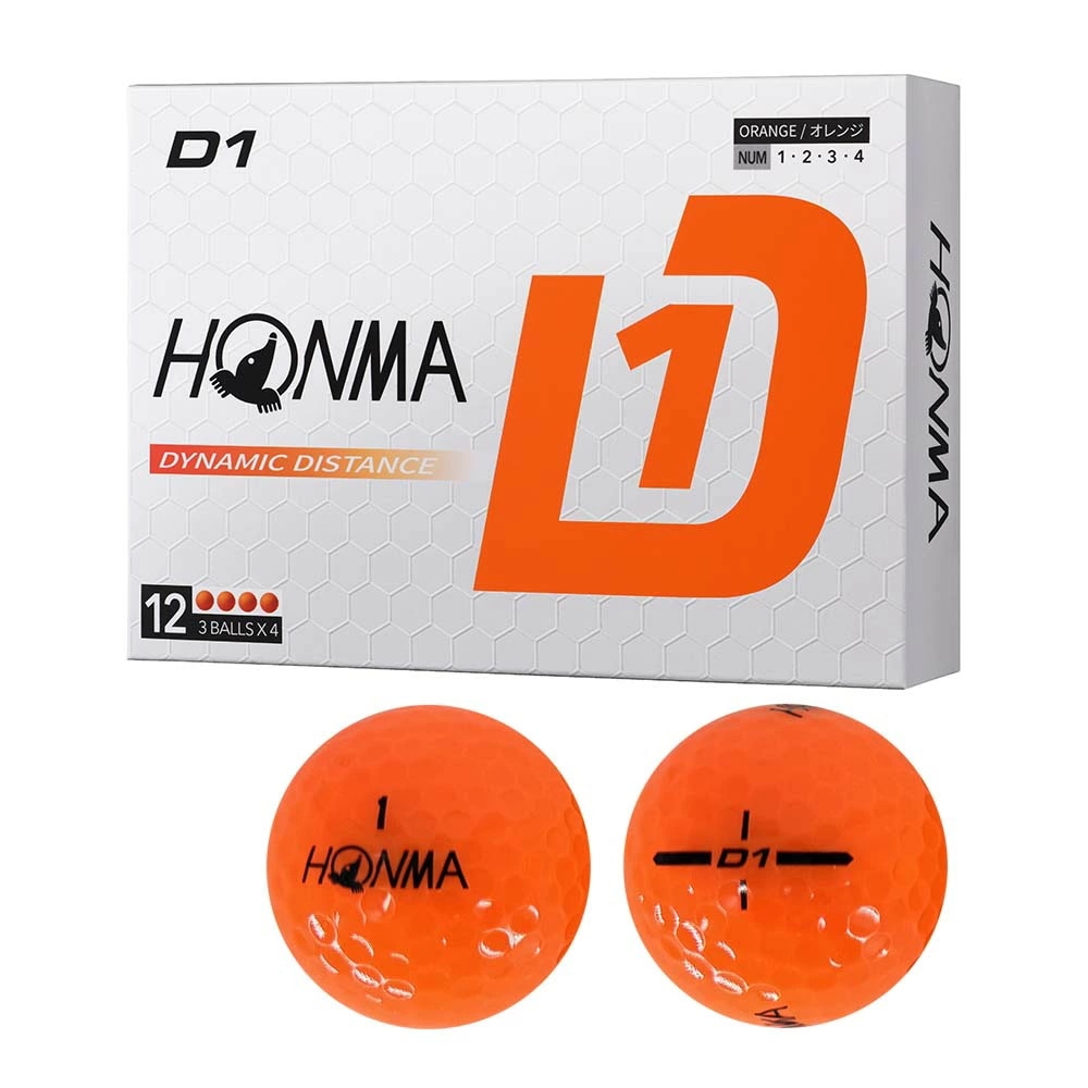 �z���} D1 2024�N���f�� [�I�����W]