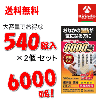 送料無料 2箱セット【第2類医薬品】北日本製薬 防風通聖散エキス6000 540錠 30日分 ×2個セット 60日分 6000mg セルフメディケーション税制対象商品