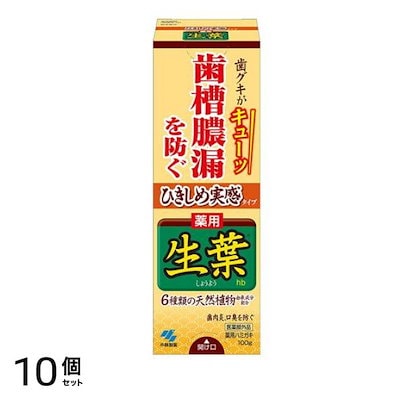 ひきしめ生葉(しょうよう)hb 100g 10個セット 7,447円