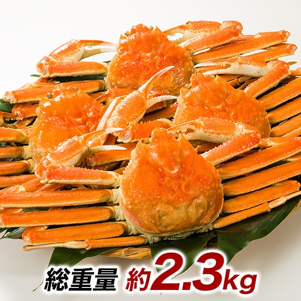 得得北海道産ボイルオオズワイガニ姿 総重量:約2.3kg(7尾 正味2kg) カニ鍋 かにしゃぶ ズワイガニ