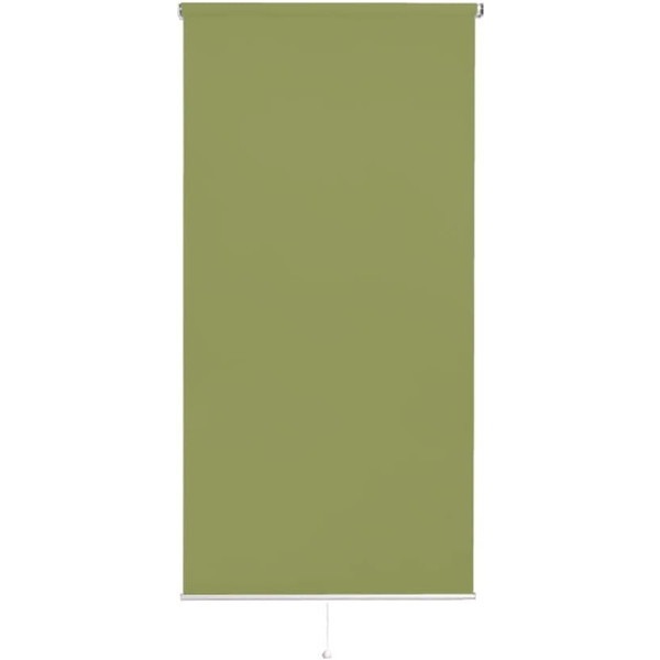 ホームテイスト SH-16-S90 壁空け不要!つっぱりロールスクリーン 幅90cm(遮光タイプ) GE グリーン メーカー直送 6,732円