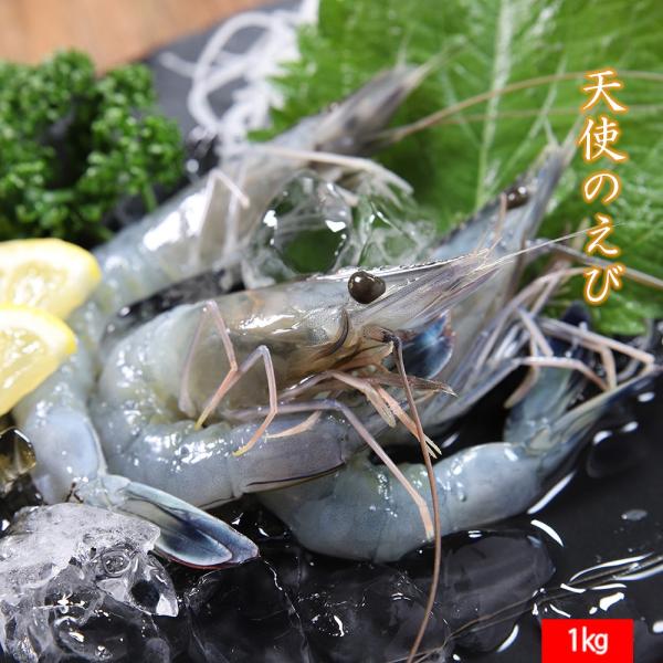 天使のえび 1kg 30/40サイズ(1kgに約30尾40尾入り) えび エビ 海老 刺身 生食 食品 贈り物 6,783円