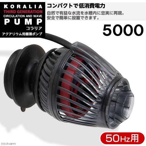 アウトレット品　５０Ｈｚ　コラリア　サードジェネレーション５０００　５０Ｈｚ（東日本用）　訳あり　ＣＲＣ10―35―65―20―10