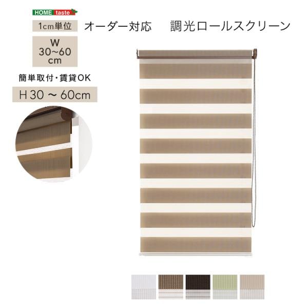 ロールスクリーン 調光 取付簡単 賃貸物件対応 目隠し おしゃれ カーテン ブラインド 1cm単位でオーダー可能 幅30～60cm×高さ30～60cm