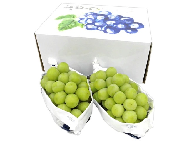 早期発送！プレミアム=温室シャインマスカット= 秀品 2房 約1kg 化粧箱入り 産地厳選 予約 5月末以降