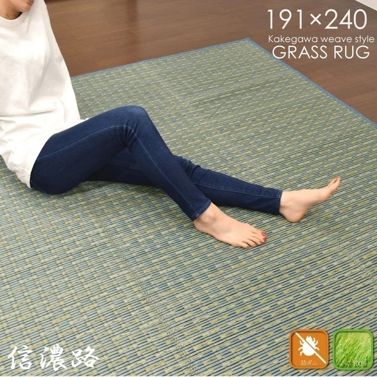 い草 ラグ カーペット センターラグ 信濃路 3畳 約191x240cm 本間 京間 関西間 シンプ 6,473円
