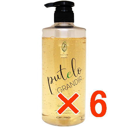 【送料無料】【正規品販売商品】プテロ putelo ／ プテロ AR シャンプー グランディール 700ml 【6個セット】／ スカルプシャンプー ／ フレッシュな植物エキス